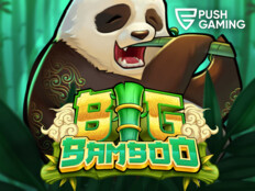 Gogo casino13